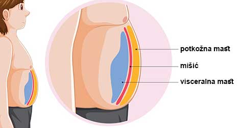 Visceralna mast proteini outlet naslov