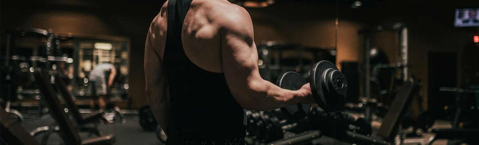 Mike Mentzer plan treninga s utezima za mišićnu masu